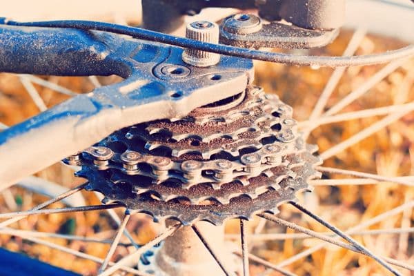 Mountain Bike Gear Repair