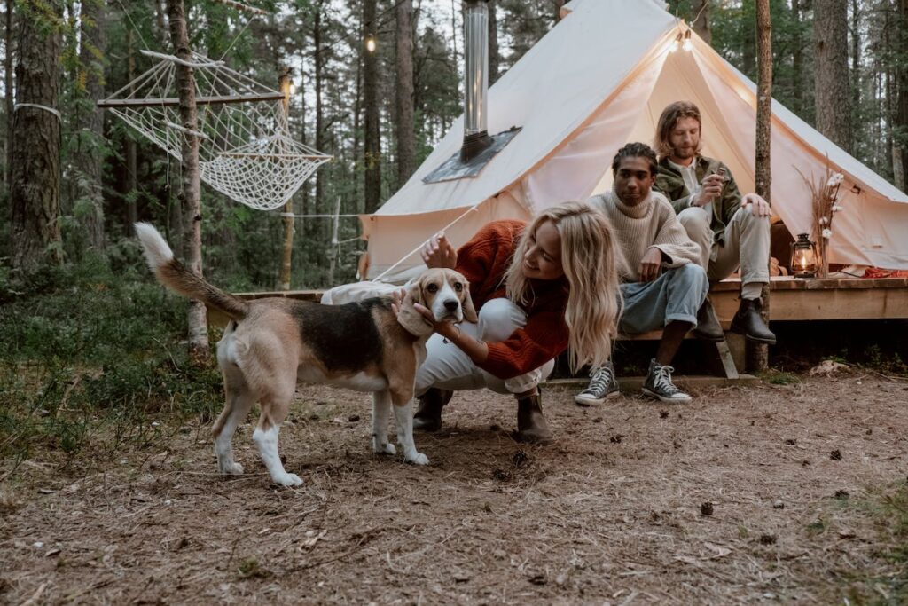 A woman crouches to pet a beagle in a forest campsite, accompanied by two men seated near a canvas tent. The scene is adorned with string lights and a hand-crafted lamp, creating a cozy ambiance in the midst of the surrounding tall pines.