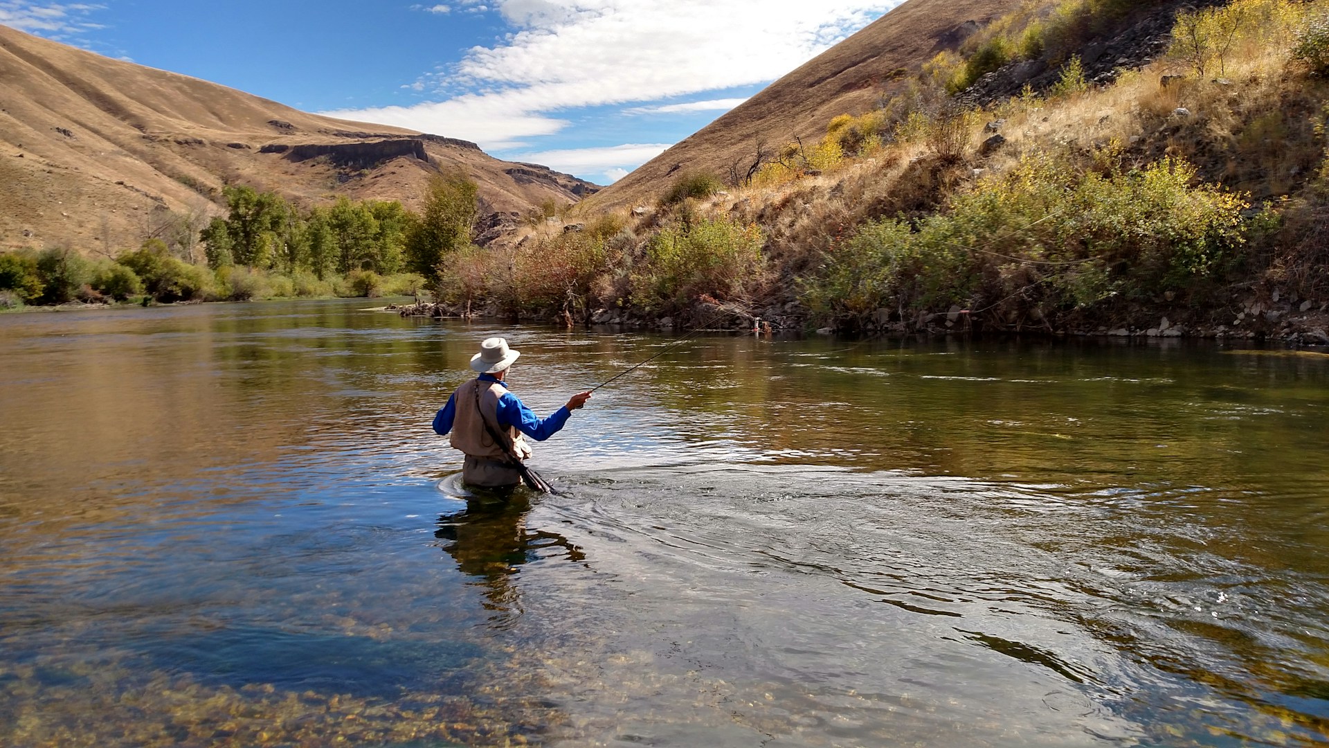 A person in waders and a wide-brimmed hat is fly fishing in a serene river, with a backdrop of gentle hills and scattered autumn-colored shrubs